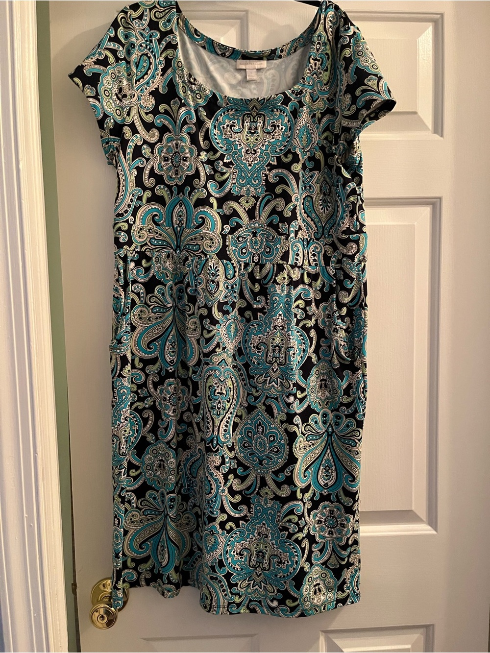 Charter Club Teal, Aqua & Black Paisley Cap Sleeve Dress